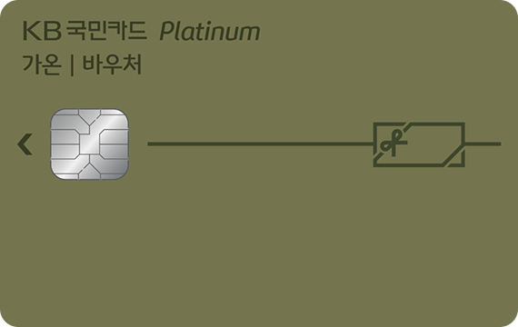 가온 플래티늄바우처카드 카드 이미지