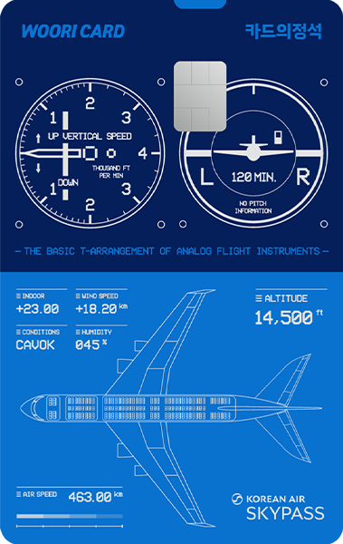 카드의정석 EVERY MILE SKYPASS 카드 이미지