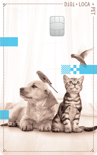 디지로카 Pet 카드 이미지